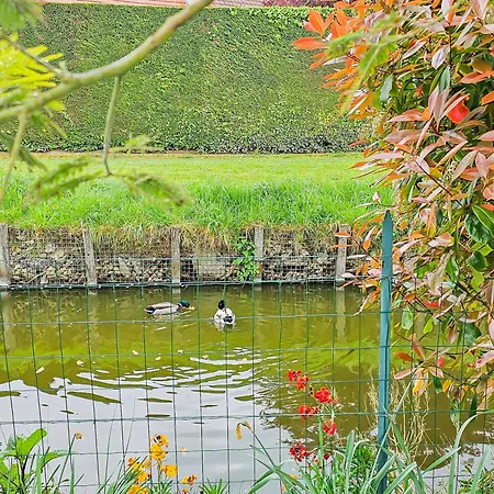 Cousinades And Xxl Family, Terrace * Merville-Franceville-Plage