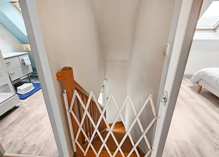 Cousinades And Xxl Family, Terrace